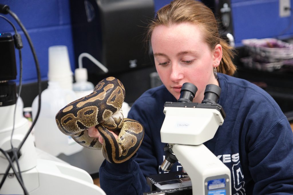 Associate in Science Degree