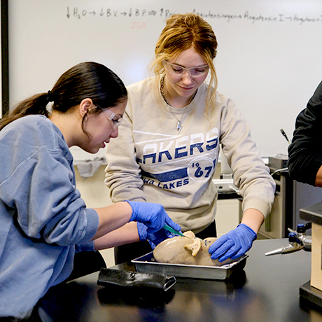 Biology Transfer Major