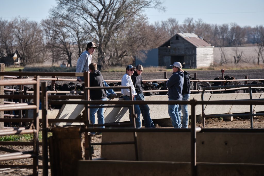 Animal Science Transfer Major