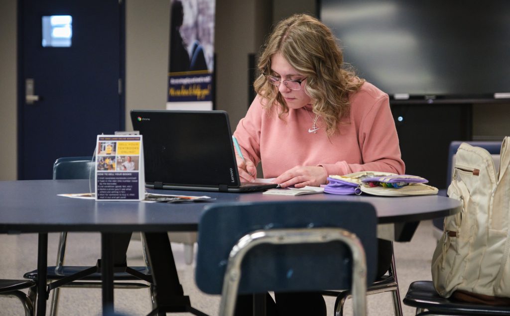 Iowa Lakes Student Studying