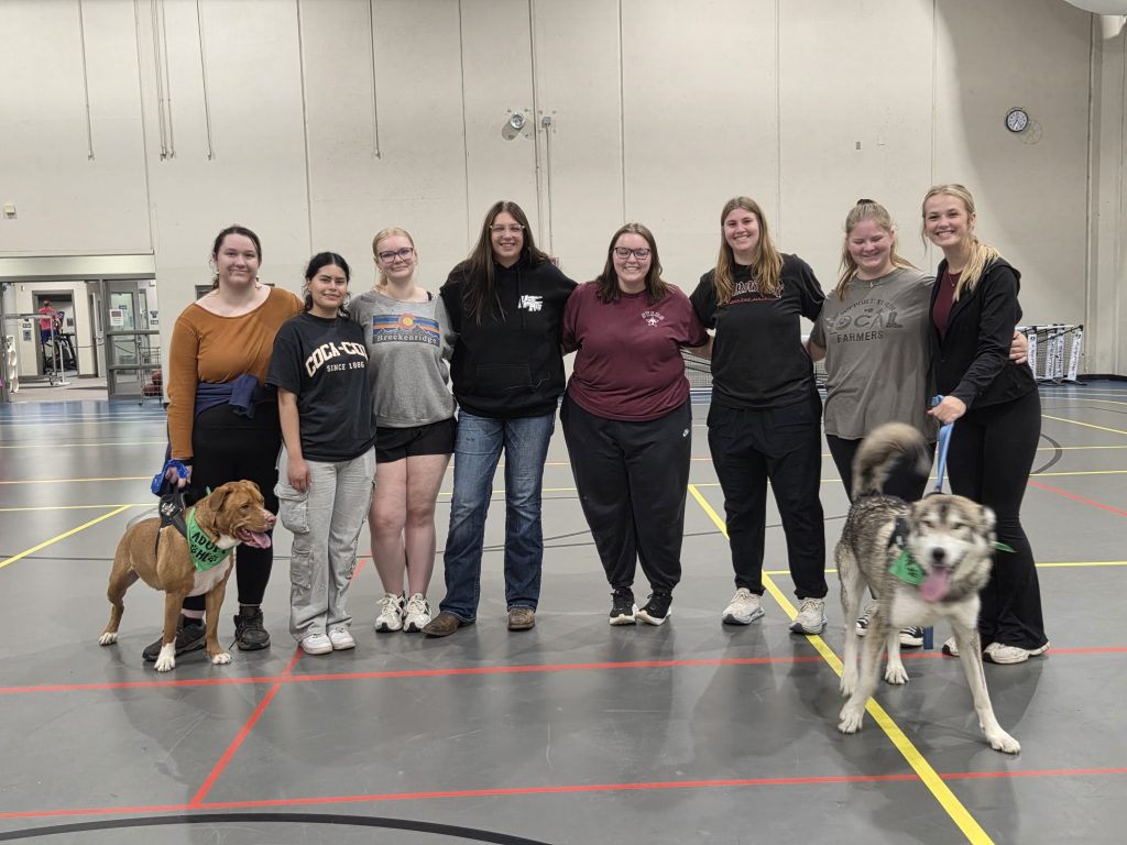 Veterinary Technician Students volunteer at Whisker Walk