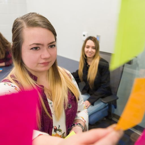 Business Transfer Area of Study at Iowa Lakes