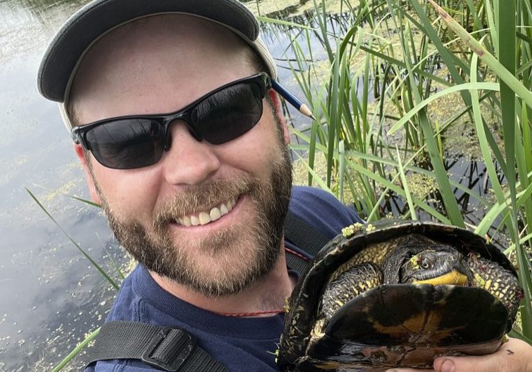Blandings Turtle Environmental Studies