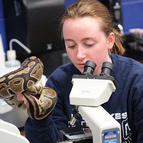 Researching at Iowa Lakes Community College